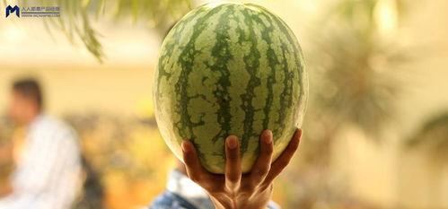 娱乐圈大瓜吃瓜,揭秘明星背后的惊人真相